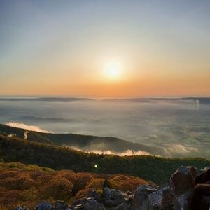 Meet your Posher, Frances